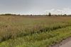 2313 Townline Road photo